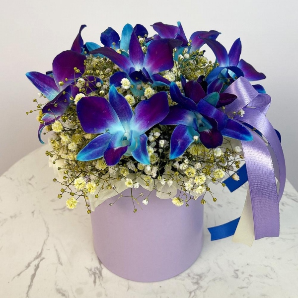 Gypsophila - 10, Orchid Dendrobium - 9, Flask for orchids, Oasis, Round flower box small , Ribbon