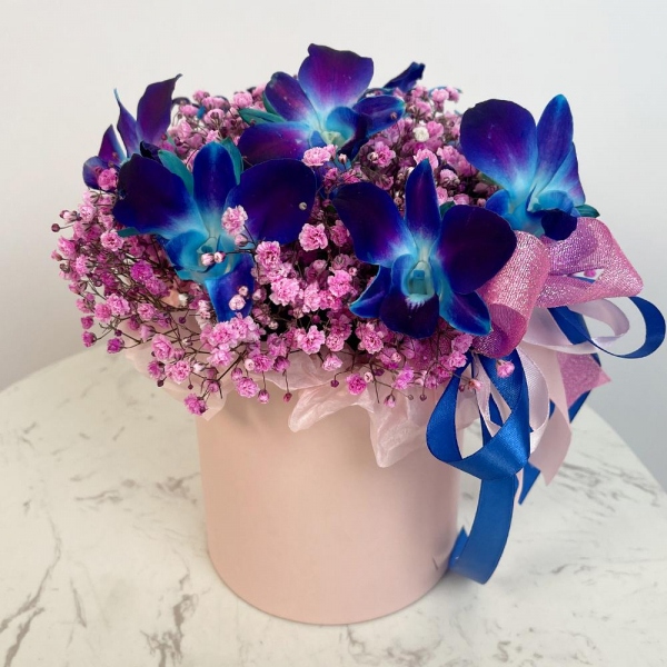 Gypsophila - 10, Orchid Dendrobium - 9, Flask for orchids, Oasis, Round flower box small , Ribbon