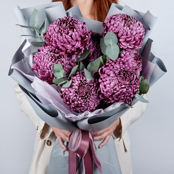 Chrysanthemum Bigoudi purple - 9, Eucalyptus, Wrapping Paper
