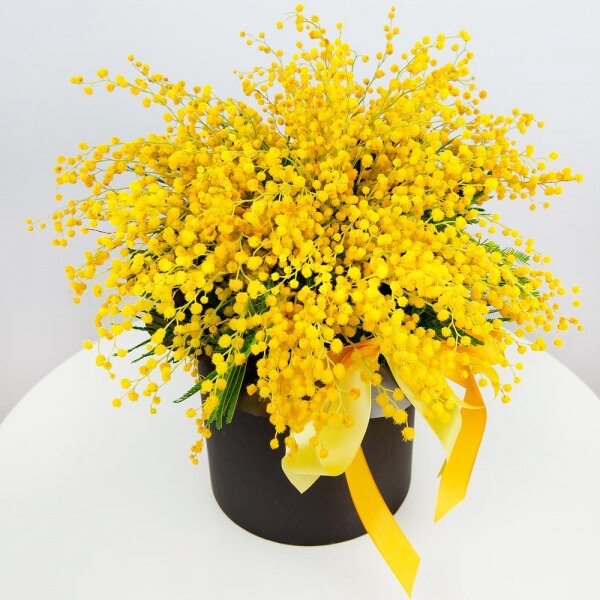 Mimosa - 4, Round flower box small , Oasis, Ribbon