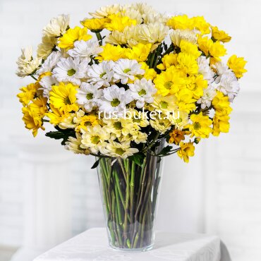 Bacardi White Spray Chrysanthemum - 4, Bacardi Yellow Spray Chrysanthemum - 5, Bacardi Yellow Spray Chrysanthemum - 9, Ribbon